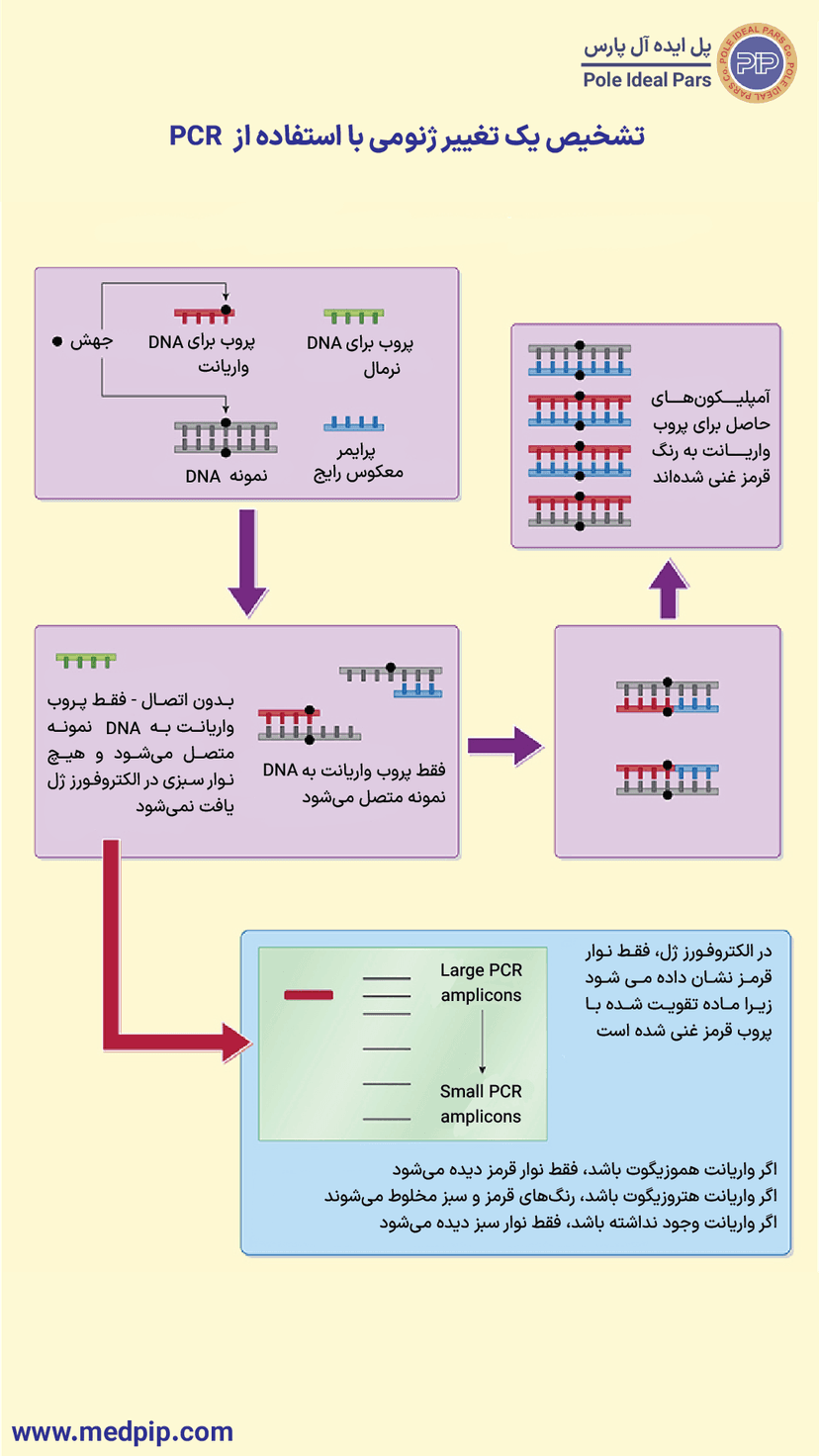 تشخیص تغییرات ژنومی با استفاده از PCR