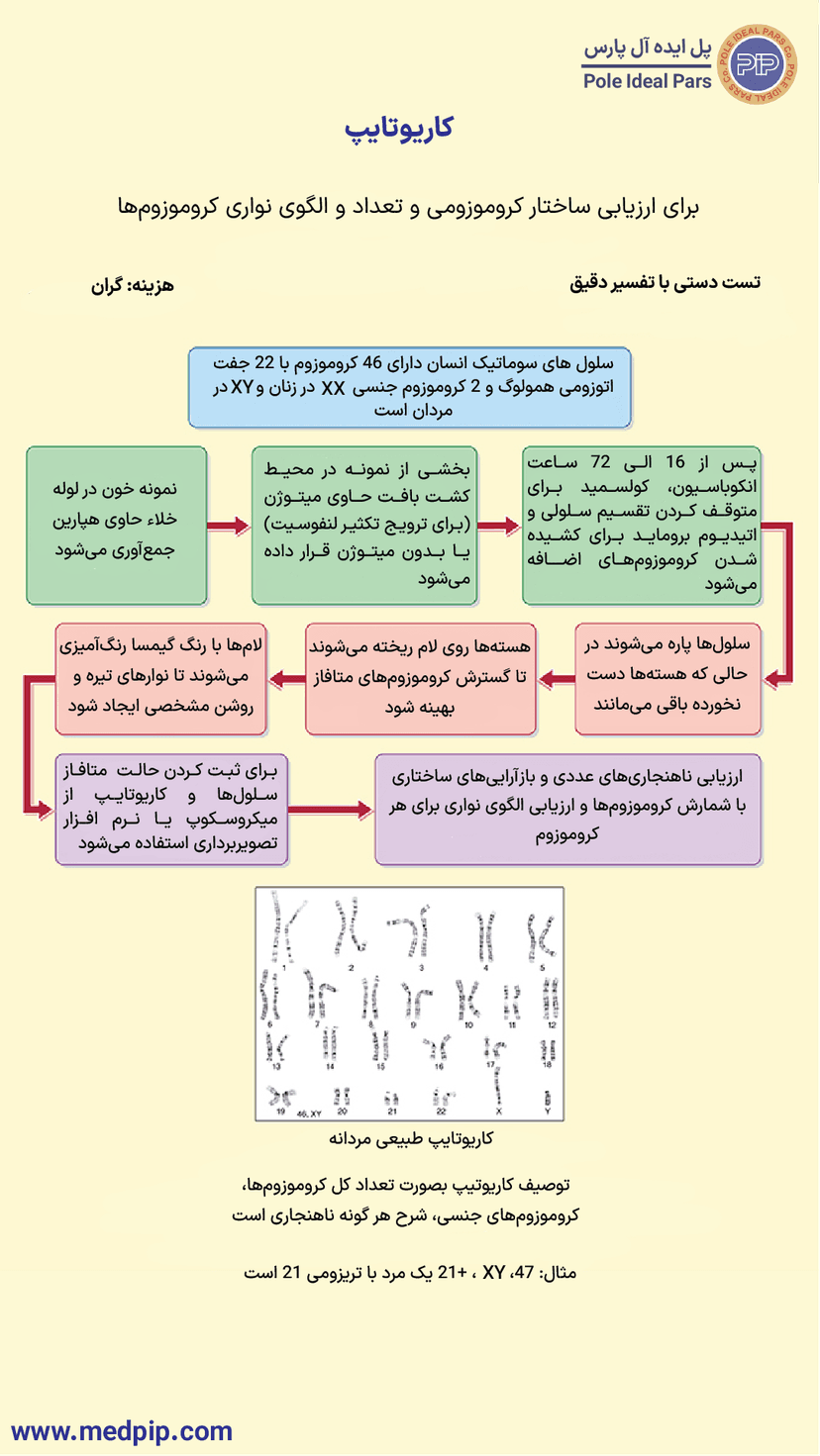 کاریوتیپ