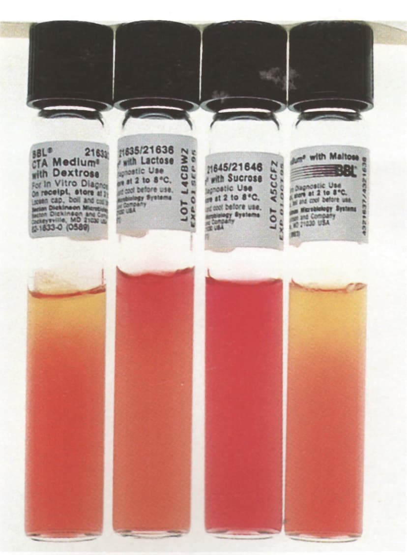 شناسایی گونههای نایسریا با توانایی اکسیداسیون کربوهیدراتها