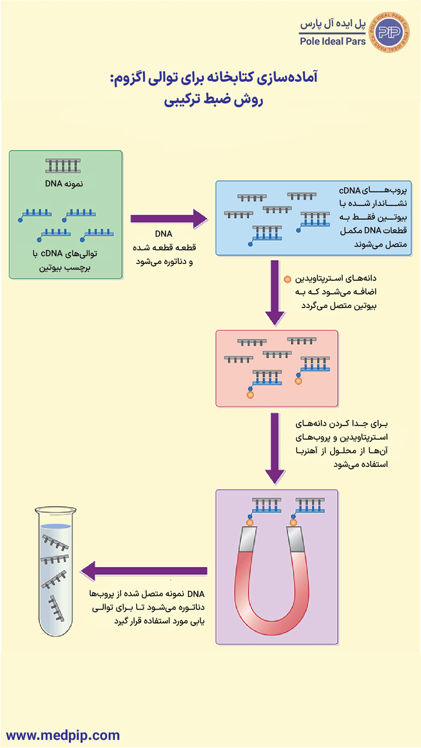 آمادهسازی کتابخانه DNA برای توالییابی EXOME: روشهای ثبت ترکیبی
