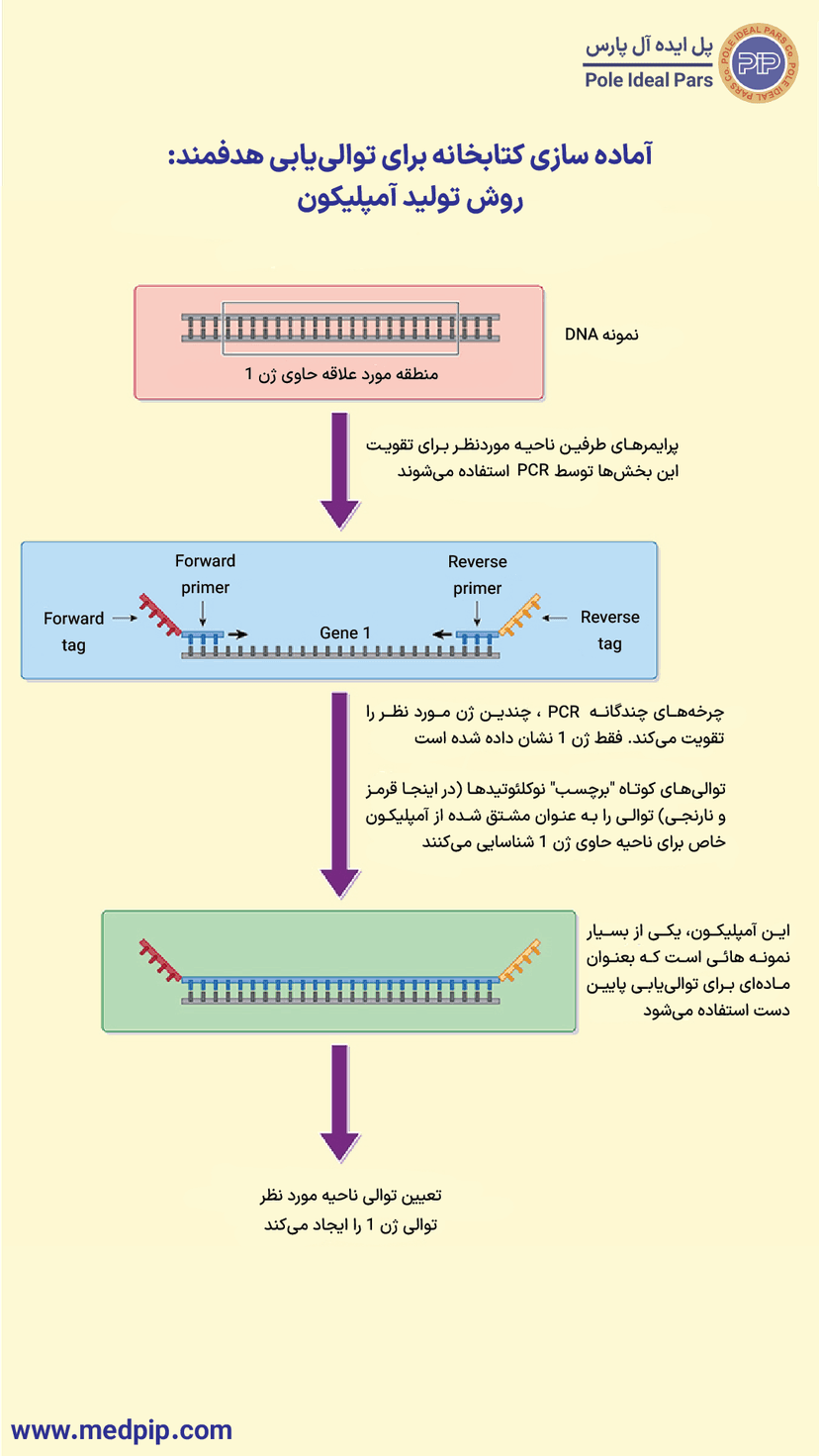 آمادهسازی کتابخانه DNA برای توالییابی هدفمند: روش تولید آمپلیکون