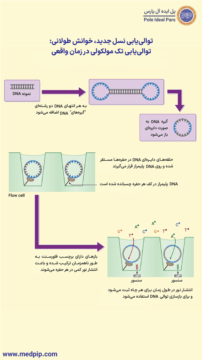 توالییابی نسل جدید با خوانش بلند: روش توالییابی تک مولکولی در زمان واقعی